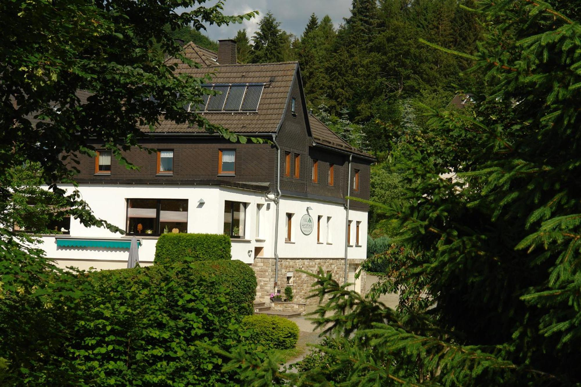 Haus Hesseberg Hotel Медебах Екстериор снимка